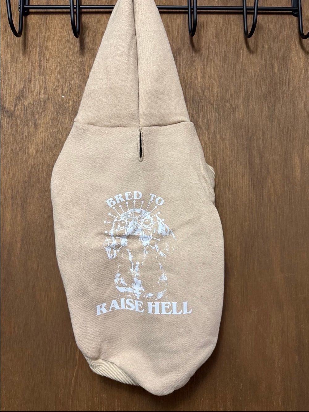 Beangoods halloween dachshund hoodie new